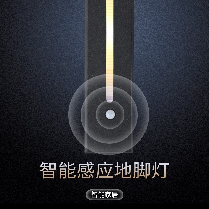 感應(yīng)地角燈 感應(yīng)地角燈